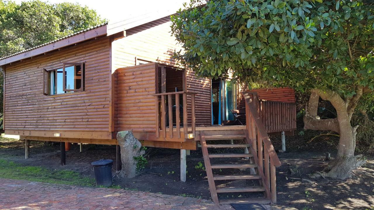 Pirates Creek Self-Catering Chalets Wildernis Eksteriør billede